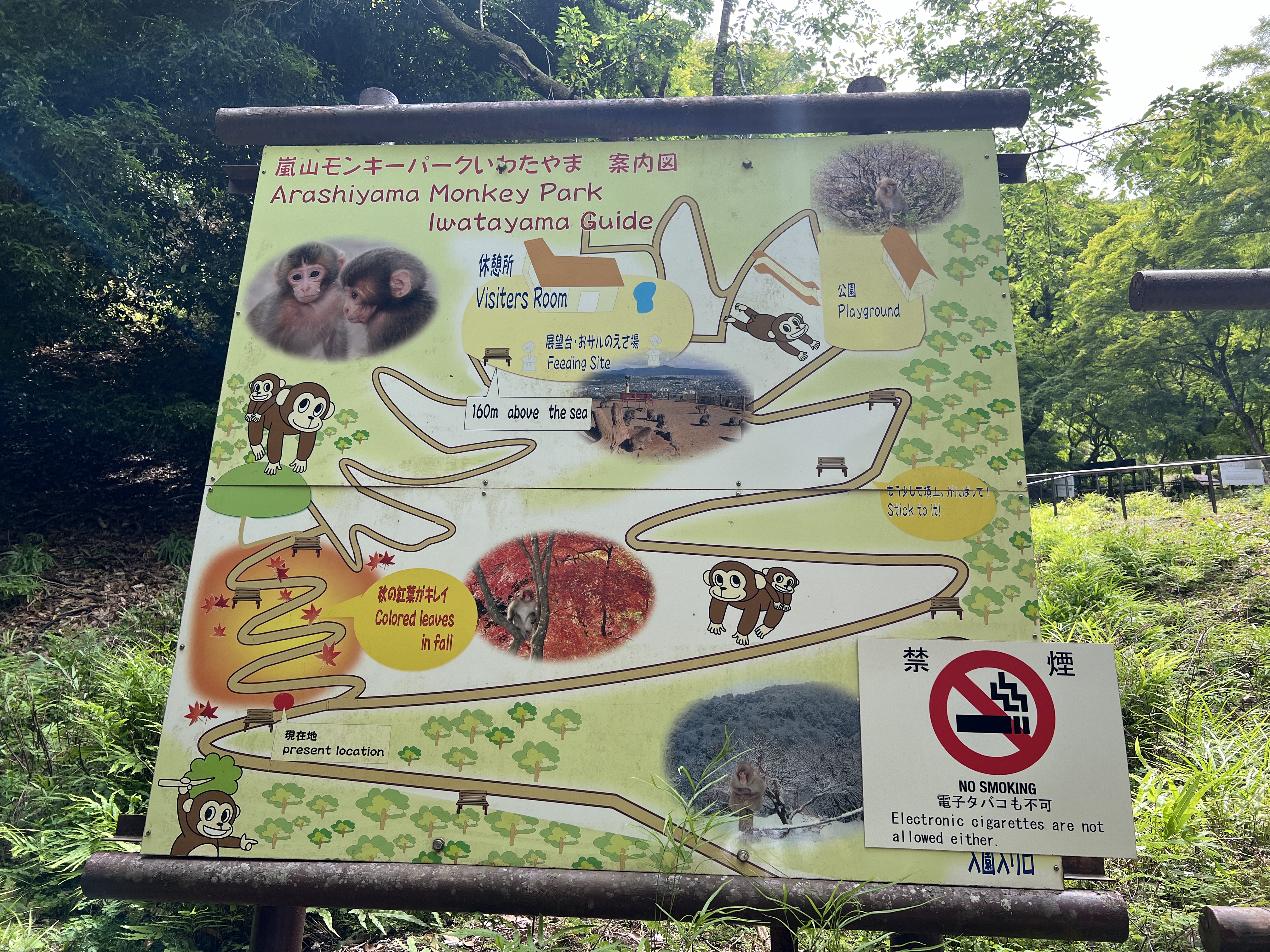 Iwatayama Monkey Park Kyoto : plan de la vallée des singes