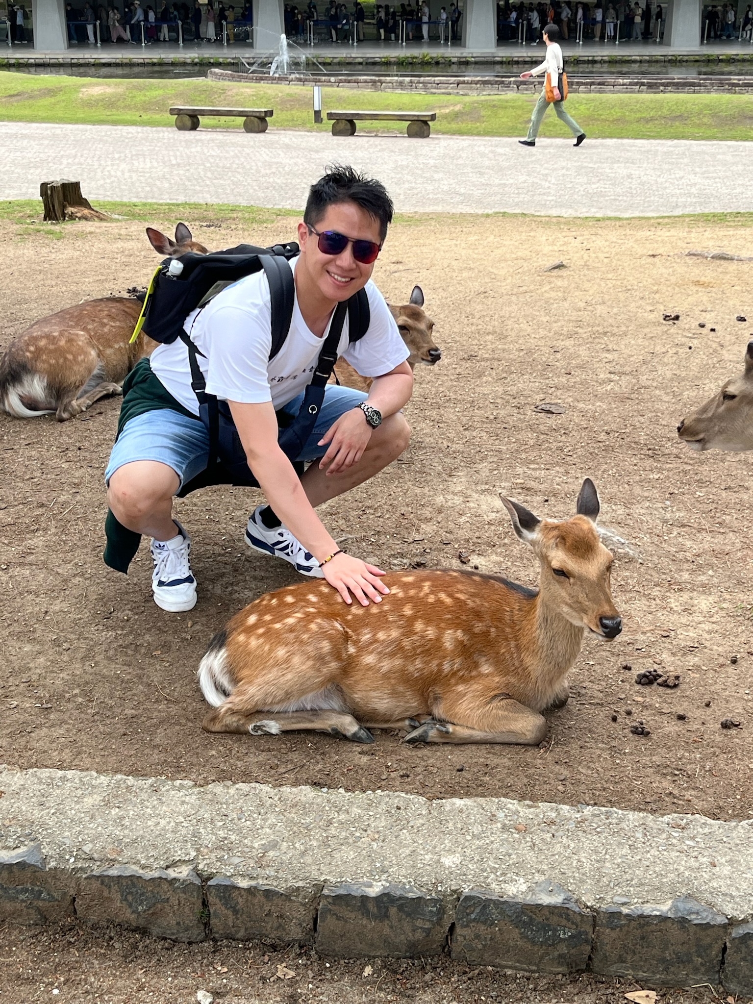 Parc de Nara : moi avec un daim