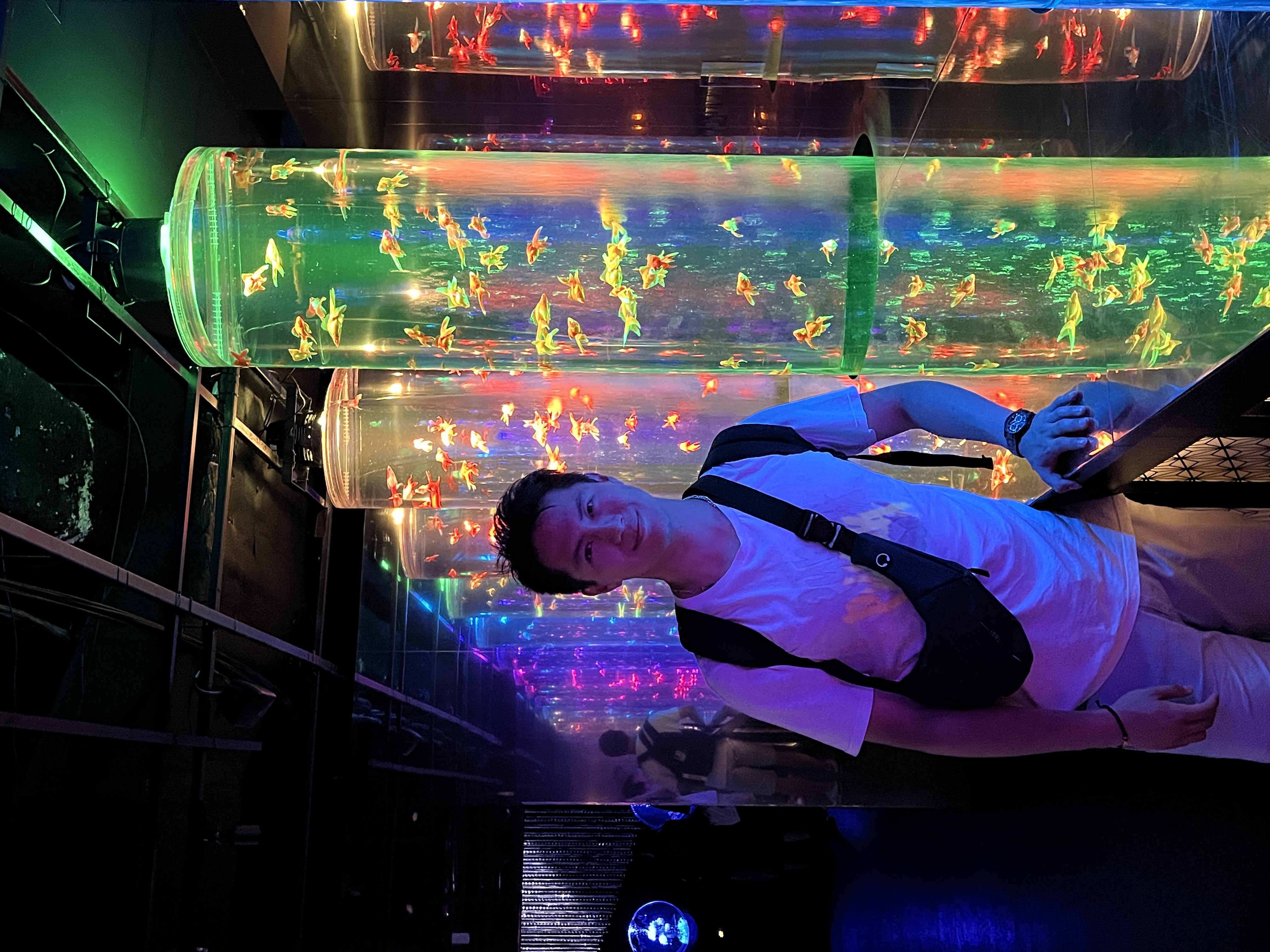 Art Aquarium Museum : entrée de l'aquarium