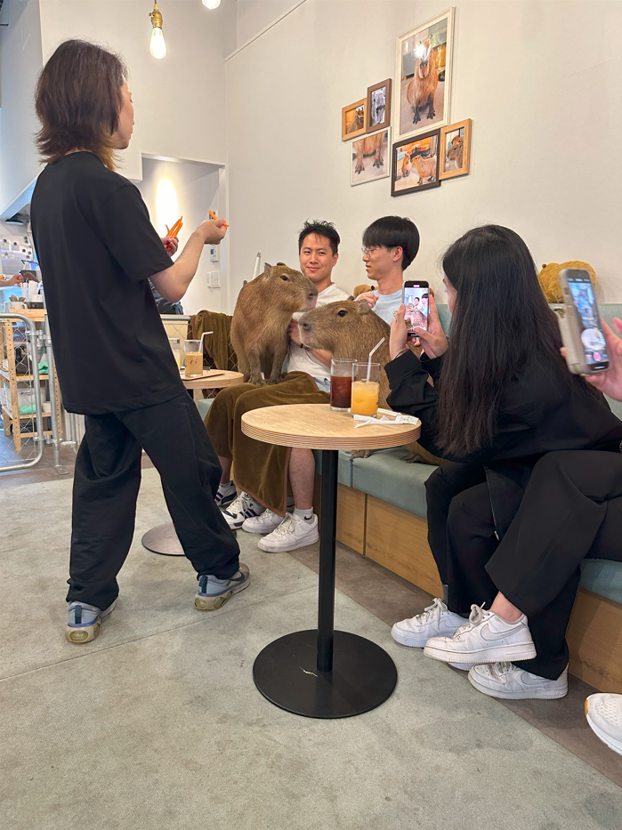 Cafe Capyba à Tokyo : intérieur du café avec les capybaras