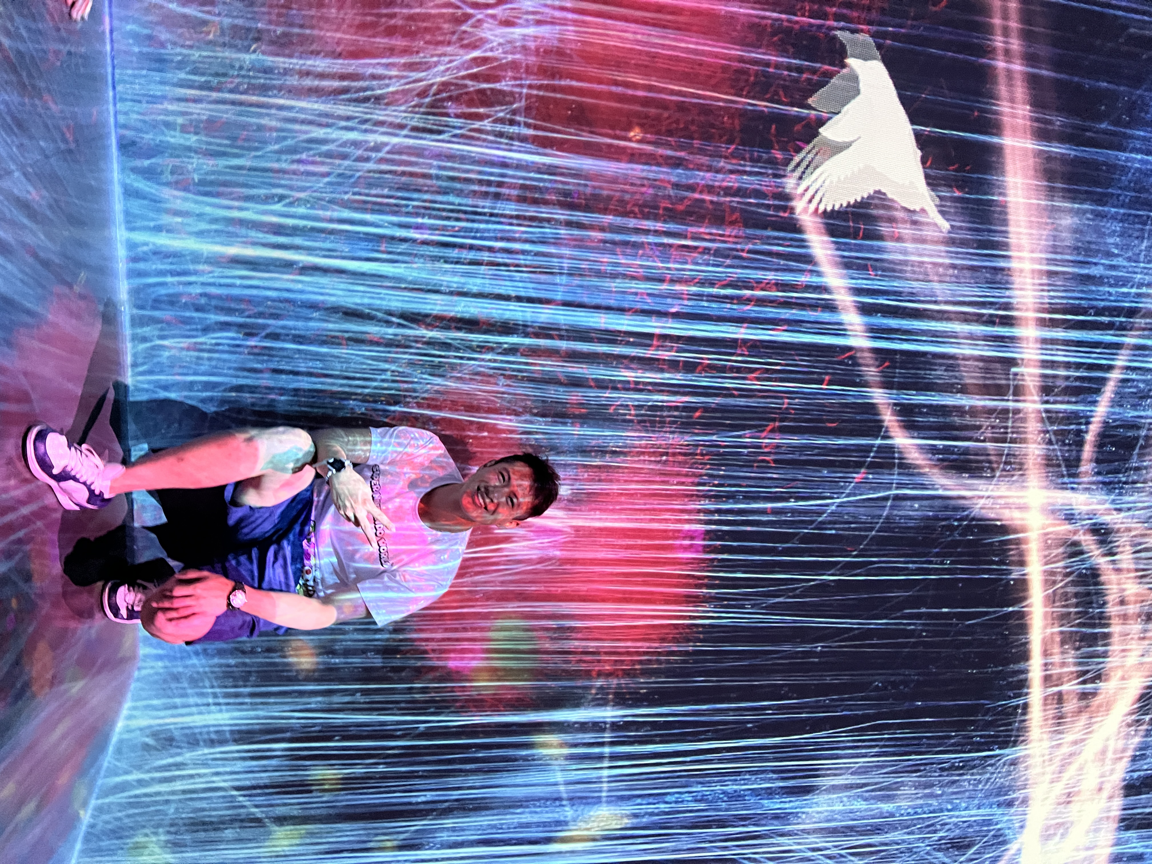 Teamlab Borderless : Universe of Water Particles : chute d’eau numérique qui réagit aux
          visiteurs